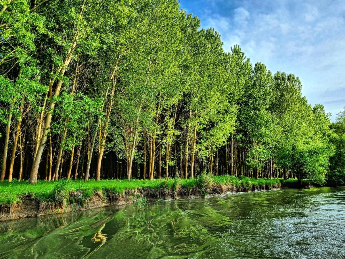 5 Chirpici - Small Traditional Resort Murighiol Dış mekan fotoğraf